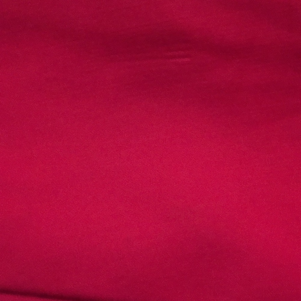 Ann Taylor hot pink shorts - Picture 5 of 5